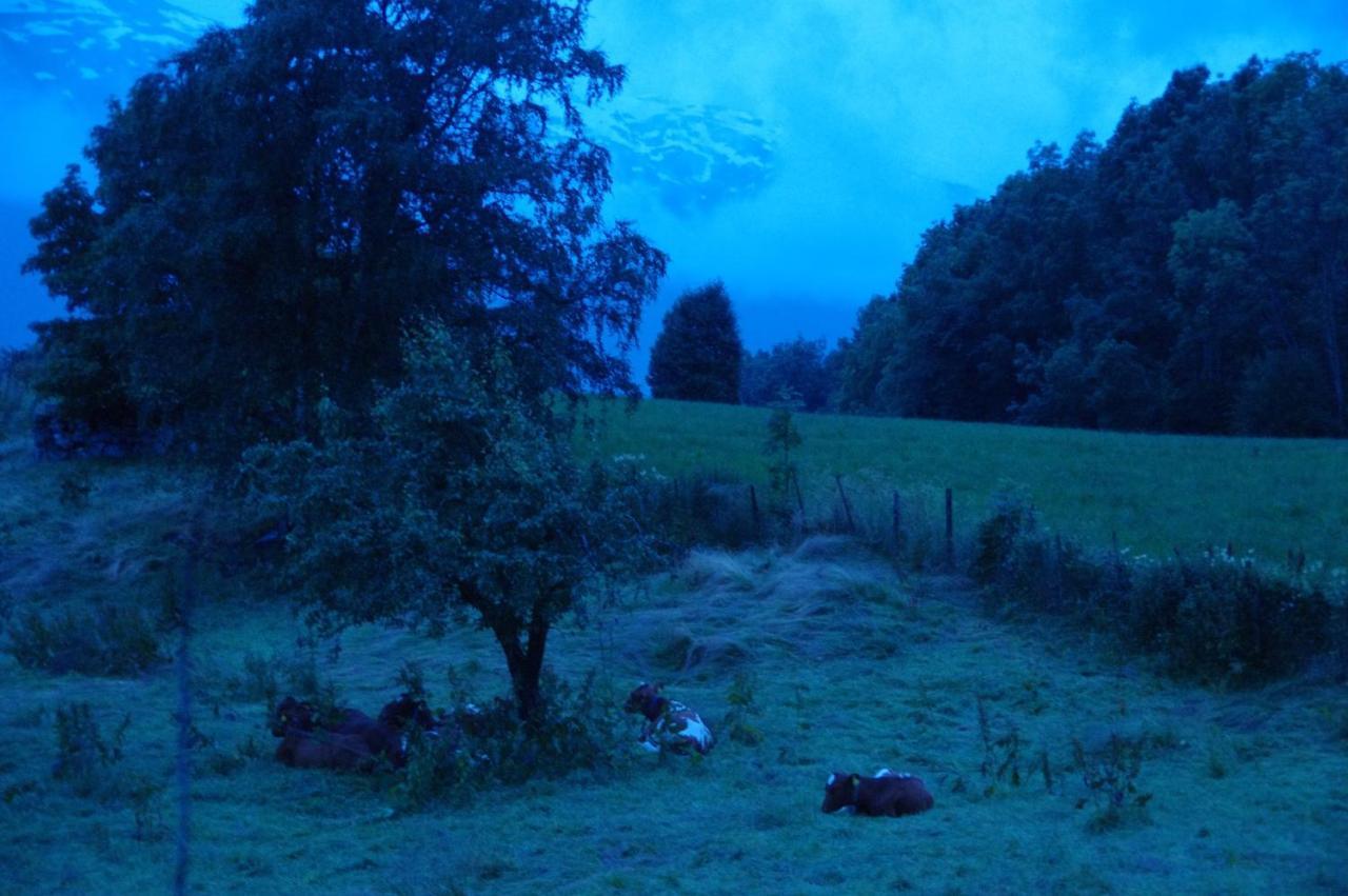 Orheimstunet - Gardsferie For Storfamilien Der Ogsa Hunden Er Velkommen Starheim Exterior photo